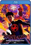 Spider-Man: A Través Del Spider-Verso (2023) HD 1080p Latino 5.1 Dual