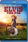 Elvis el Cerdo (2022) HD 1080p Latino Dual