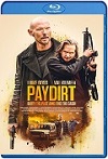 Paydirt (2020) HD 1080p Latino Dual