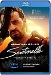 Sentinelle (2023) HD 1080p Latino 5.1 Dual