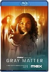 Gray Matter (2023) HD 1080p Latino 5.1 Dual