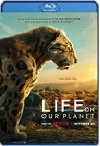 La vida en nuestro planeta Temporada 1 Completa (2023) HD 720p Latino 5.1 Dual 