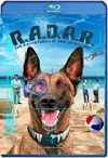 R.A.D.A.R.: The Adventures of the Bionic Dog (2023) HD 720p Latino Dual