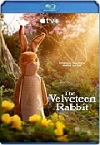 El conejo de peluche (2023) HD 1080p Latino 5.1 Dual