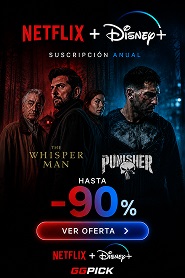 Netflix + Disney Plus Bundle 12 Meses Global