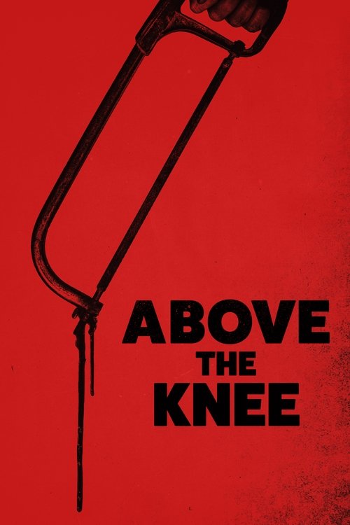 Over kneet (2024) WEB-DL 1080p Subtitulado