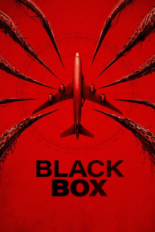 Black Box: Vuelo 298 (2026) WEB-DL 1080p / 720p Subtitulada