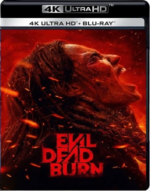 Posesión infernal. En llamas (2026) WEB-DL 4K HDR Latino