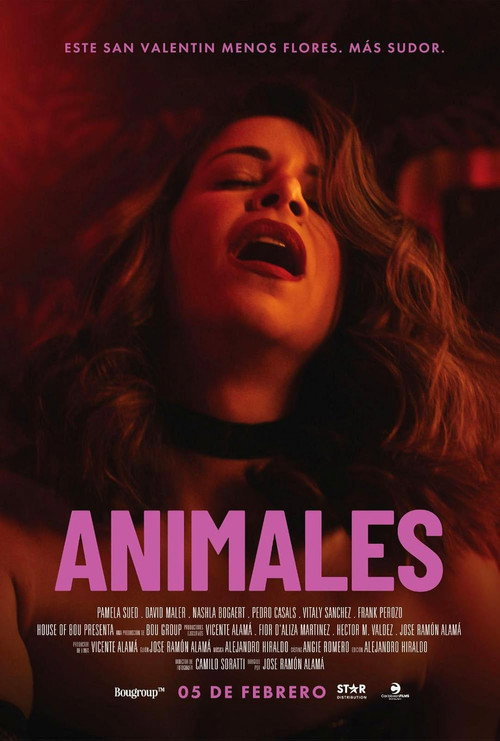 Animales (2026) WEB-DL 1080p / 720p Latino